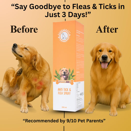 ANTI TICK & FLEA SPRAY