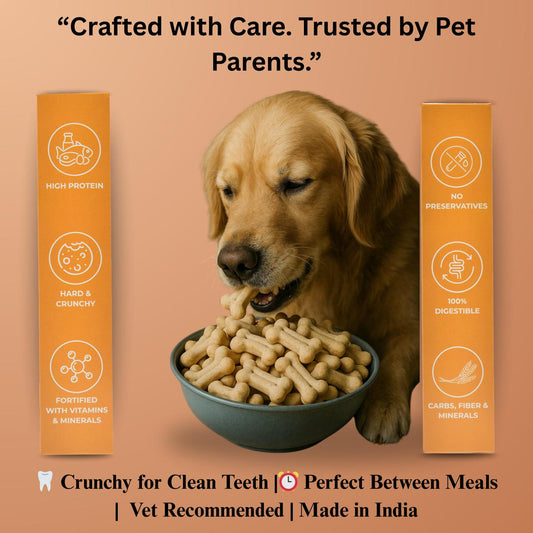 CHICKEN & EGG BISCUITS