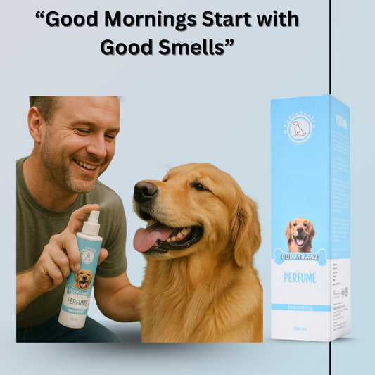 PERFUME- GOOD MORNING