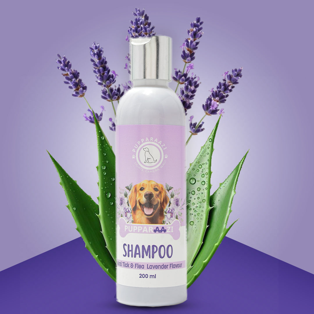 SHAMPOO - ANTI TICK & FLEA LAVENDER FLAVOUR