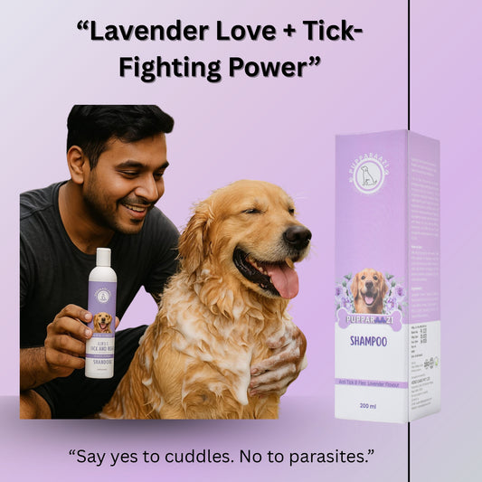 SHAMPOO - ANTI TICK & FLEA LAVENDER FLAVOUR