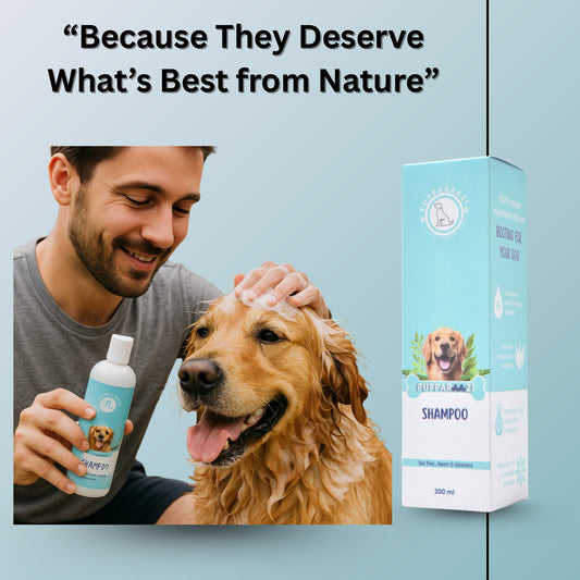 SHAMPOO - TEA TREE, NEEM & ALOE VERA