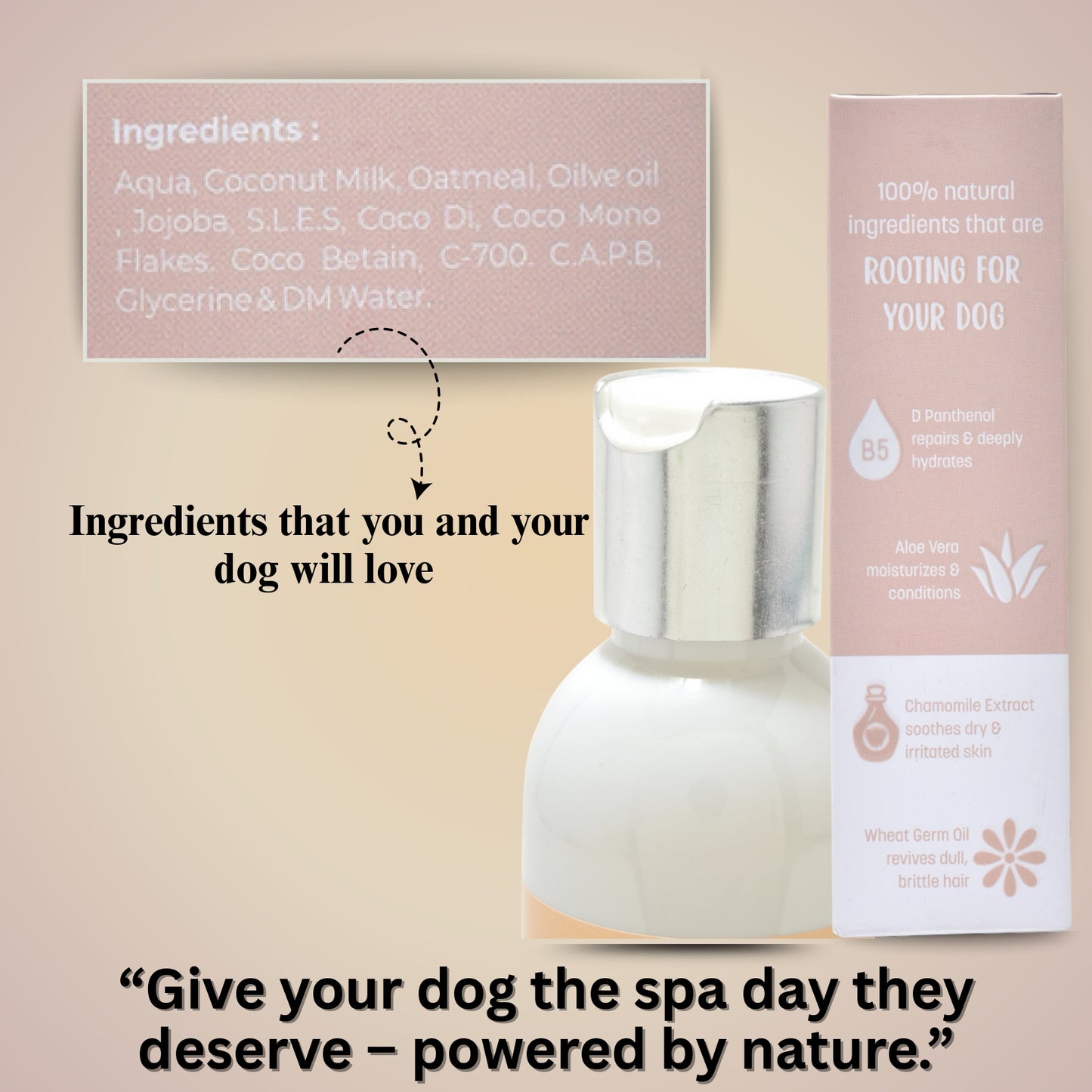 SHAMPOO - OATMEAL 5 IN 1