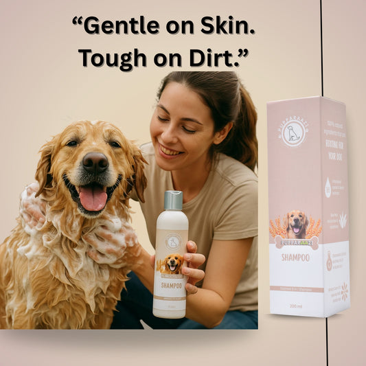 SHAMPOO - OATMEAL 5 IN 1