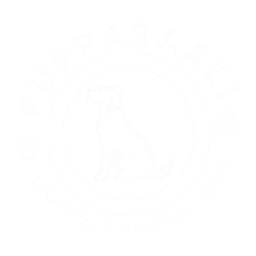 Pupparaazi
