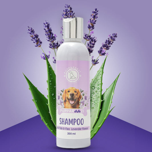 SHAMPOO - ANTI TICK & FLEA LAVENDER FLAVOUR