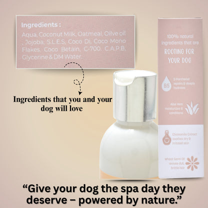 SHAMPOO - OATMEAL 5 IN 1